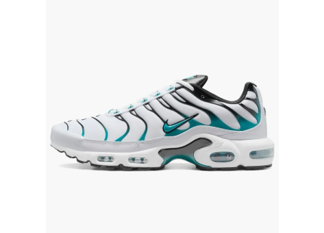 Nike Air Max Plus Turbo Green (604133-136) weiss