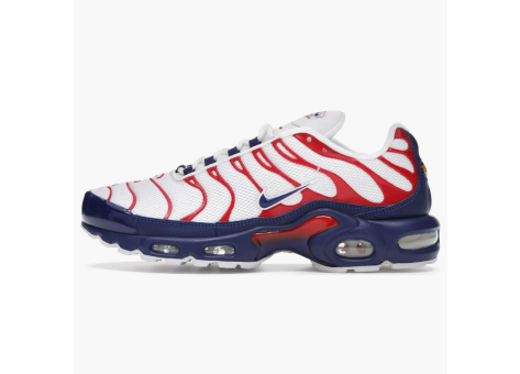 Nike Air Max Plus Usa (CZ9167 100) bunt