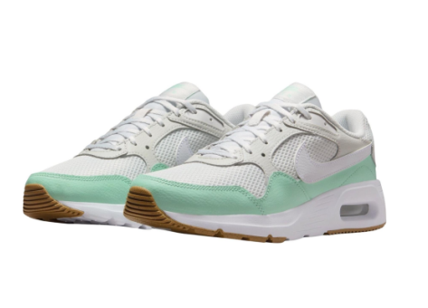 Nike Air Max SC (CW4554-007) bunt