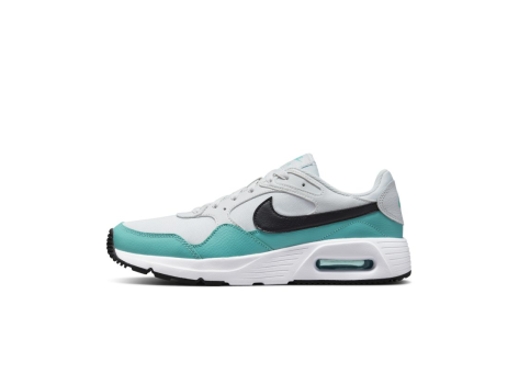 Nike Air Max SC (CW4555-008) bunt