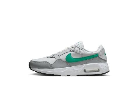 Nike Air Max SC (CW4555-120) bunt