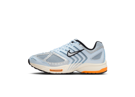 Nike Air Blue Tint Total Platinum Pegasus 2005 (HQ1675-400) blau