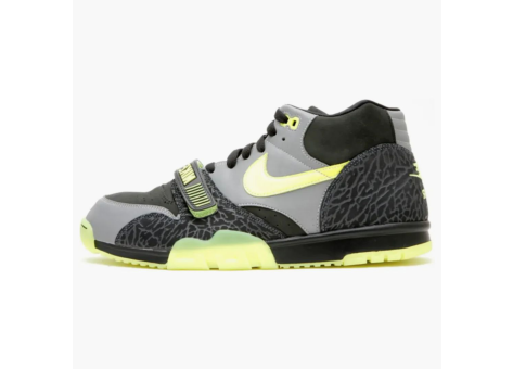 Nike Air Trainer 1 112 Pack (329424 071) bunt