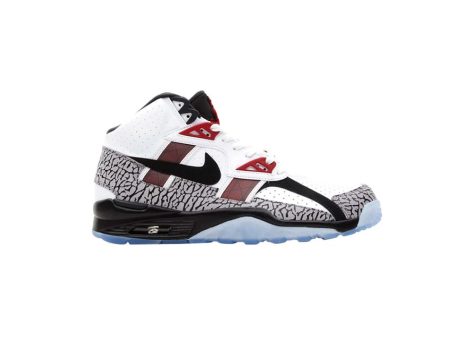 Nike Air Trainer SC High Prm Qs (638074101) bunt