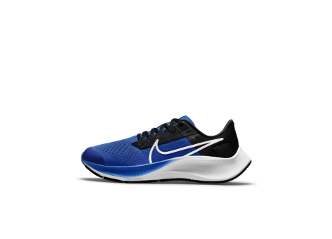 Nike Air Zoom Pegasus 38 (CZ4178-411) blau