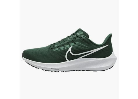 Nike Air Zoom Pegasus 39 Tb Gorge Green (DM0164 300) grün