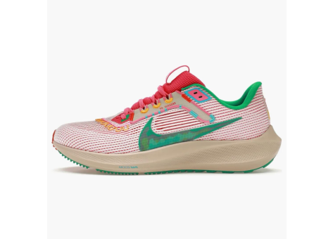 Nike Air Zoom Pegasus 40 Familia (FN0599 100) bunt