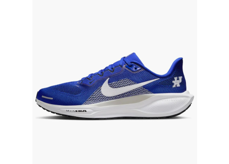 Nike Air Zoom Pegasus 41 Kentucky Wildcats (IB3266-400) blau