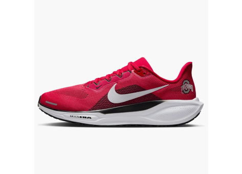 Nike Air Zoom Pegasus 41 Ohio State Buckeyes (IB3254-600) rot