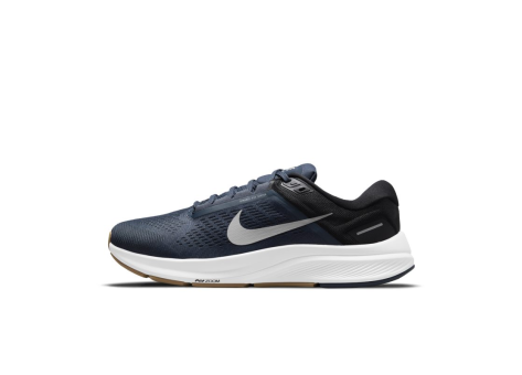 Nike Air Zoom Structure 24 (DA8535-400) bunt