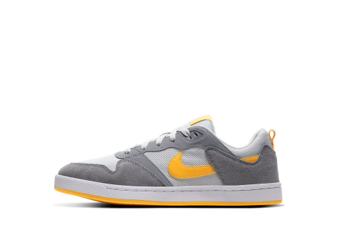 Nike Alleyoop SB Particle University Gold (CJ0882-002) bunt