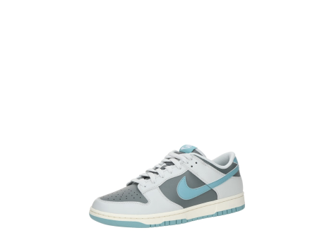 Nike Dunk Low Retro (HF5441 001) bunt