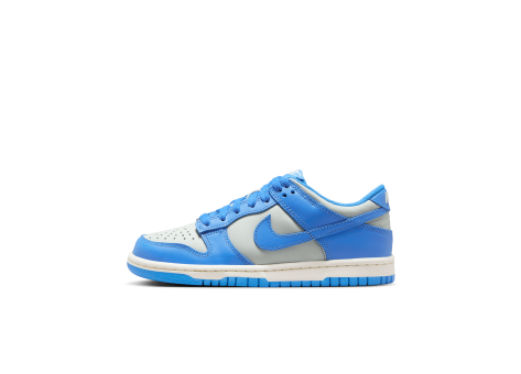 Nike Dunk Low (FB9109-004) bunt