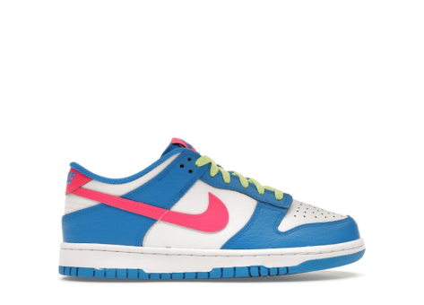 Nike Dunk Low (IB7747-406) bunt