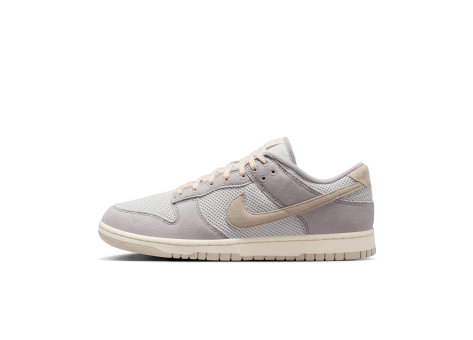 Nike Dunk Low Retro SE (HJ4329-002) grau