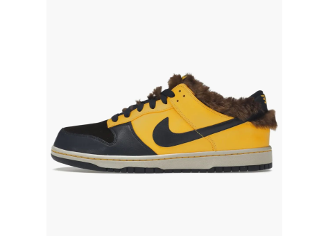 Nike Dunk Low Teen Wolf (325007 741) bunt