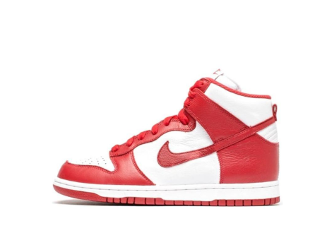 Nike Dunk Retro QS (850477 102) bunt