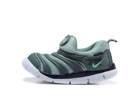 Nike Dyanmo Free Cannon (343938-006) grün