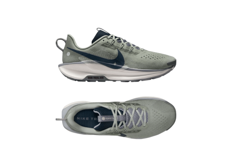 Nike Pegasus 5 Trail (DV3864-300) grau