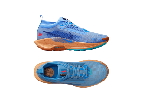 Nike Pegasus Trail 5 GORE TEX (FQ0912-401) blau