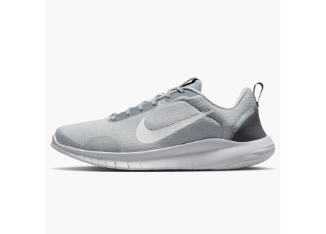 Nike Flex Experience Run 12 Wolf Grey Iron (DV0740-007) grau