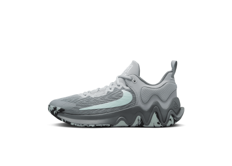 Nike Giannis Immortality 2 (DM0825-004) grau