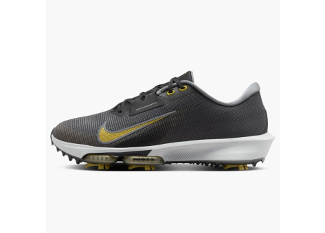 Nike Infinity Tour 2 Cool Grey Pure Platinum Infinite Gold (FD0217-003) schwarz