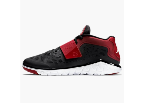 Jordan Flight Flex Trainer 2 (768911-001) bunt