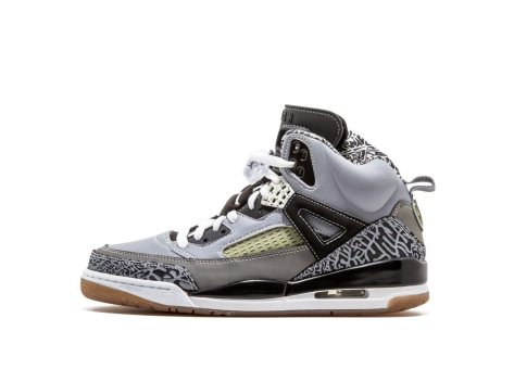 Jordan SpizIke (315371-091) grau