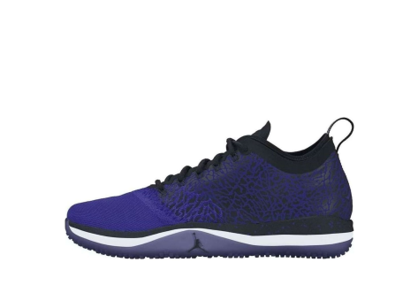 Jordan Trainer 1 Low Concord (845403-003) bunt