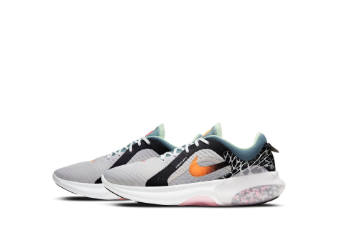 Nike Joyride Dual Run 2 Gray Blue (DC3283-060) bunt
