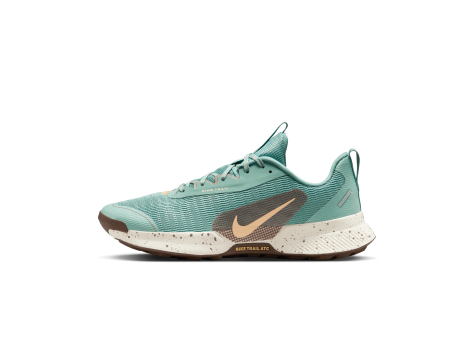 Nike Juniper Trail 3 (FQ0902-004) türkis