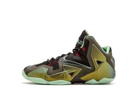 Nike LeBron 11 Kings Pride (616175-700) bunt