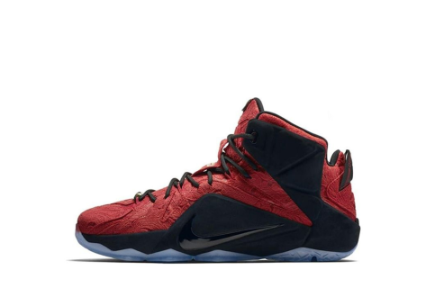 Nike LeBron 12 EXT Kings Cloak (748861-600) bunt