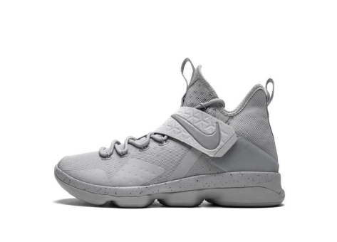 Nike LeBron 14 Silver (852405-007) grau