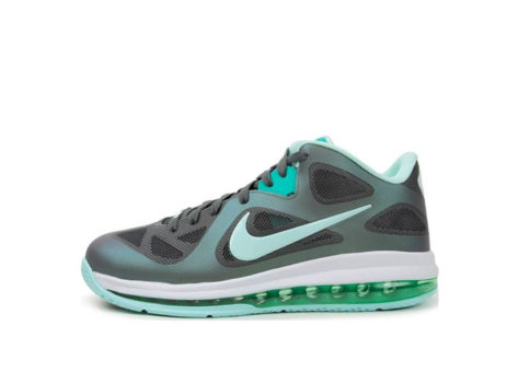 Nike LeBron 9 Low Easter (510811 001) bunt