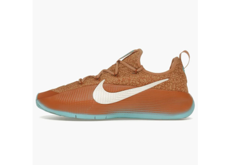 Nike LeBron TR 1 Better With Age (FJ6151 200) braun