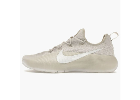 Nike LeBron TR 1 Phantom Light Bone (FJ6151 002) beige