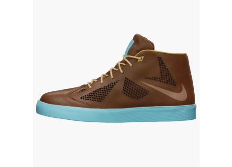 Nike Lebron X Nsw Hazelnut (582553-200) braun