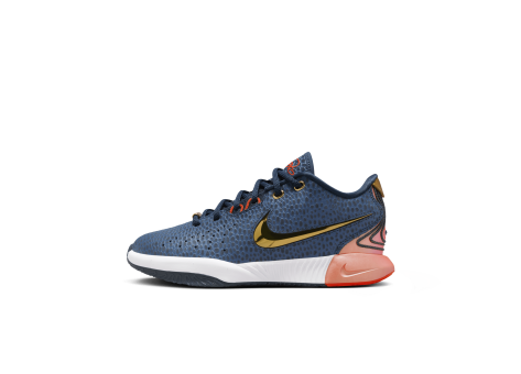 Nike LeBron XXI (FV3606-400) blau