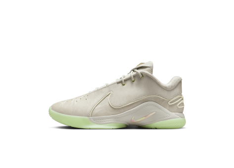 Nike LeBron XXII Dunkman (FZ1094-002) grau
