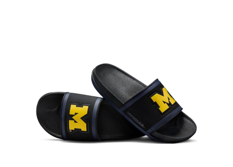 Nike Offcourt (DD0533-002) schwarz