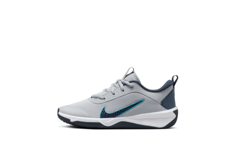 Nike Omni Multi Court (DM9027-010) grau