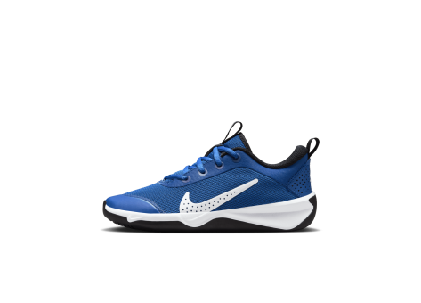 Nike Omni Multi Court (DM9027-403) blau