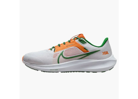 Nike Pegasus 40 Famu (DZ5941 100) weiss