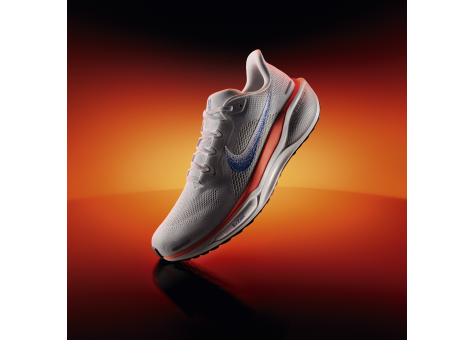 Nike Pegasus 41 Air Zoom FP (HF7362-900) bunt