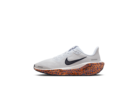 Nike Pegasus 41 (FV3461-001) grau