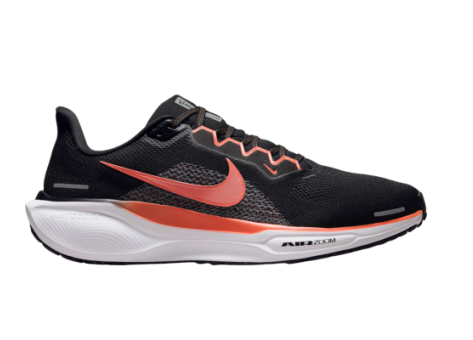 Nike Pegasus 41 (FD2722-006) schwarz