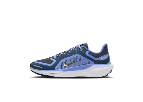 Nike Pegasus 41 GORE TEX (FQ1357-400) blau