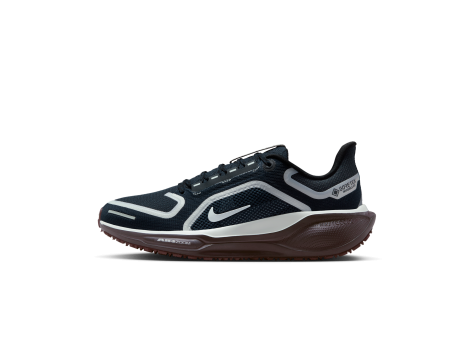 Nike Pegasus 41 GORE TEX (FQ1357-401) schwarz